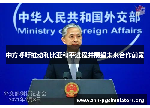 中方呼吁推动利比亚和平进程并展望未来合作前景 中方呼吁推动利比亚和平进程并展望未来合作前景