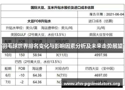 羽毛球世界排名变化与影响因素分析及未来走势展望 羽毛球世界排名变化与影响因素分析及未来走势展望